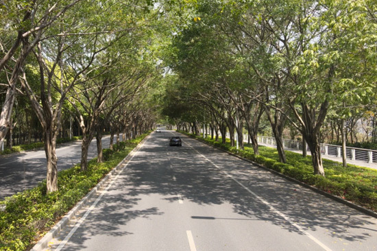 沿途可打卡, 时节, 滨江起点 沿途可打卡, 时节, 滨江起点